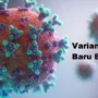 Varian Baru Covid Eris, Berikut Gejala dan Penyebarannya Ilustrasi Gambaran Varian Baru Covid-19 Eris