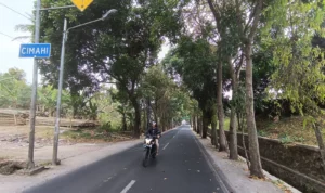 Kontraktor pembangunan TPS Santiong Cimahi disemprot Satpol PP lantran dikabarkan telag babad ratusan pohon. Jabar Ekspres/ Cecep Herdi.