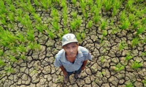 Koalisi Sipil Desak Aksi Tanggap Pemerintah Hadapi Krisis Iklim di Papua Selatan Krisis Iklim di Papua Selatan