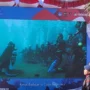 Peringati Kemerdekaan ke-78 RI, Kemendikbudristek Bersama Penyelam Kibarkan Bendera Merah Putih di Bawah Laut