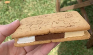 Hari Es Krim Sandwich Nasional di Amerika Serikat, Perayaan Manis bagi Semua
