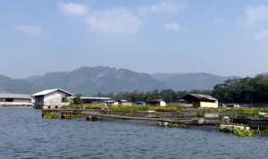 Pemandangan KJA di Waduk Saguling, KBB.