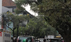 Suasana padatnya Jalan Braga.