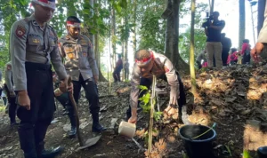 Digagas Kepolisian Jawa Barat, 42 Ribu Pohon Ditanam demi Lestarikan Lingkungan Demi Jaga Polusi Udara, Kepolisian Lakukan Penghijauan Sejak Dini Demi Lestarikan Lingkungan. Foto Agi Jabar Ekspres