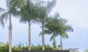 Parahyangan ECO Business Park Hadirkan Inovasi Kawasan Pergudangan di Bandung Parahyangan ECO Business Park Hadirkan Inovasi Kawasan Pergudangan di Bandung