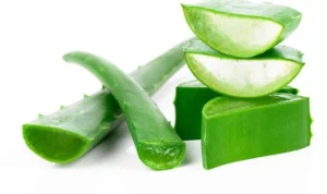 Manfaat Lidah Buaya yang Sangat Luar Biasa Bagi Kecantikan Alami Manfaat Lidah Buaya yang Sangat Luar Biasa Bagi Kecantikan Alami