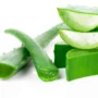 Manfaat Lidah Buaya yang Sangat Luar Biasa Bagi Kecantikan Alami