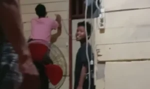Viral Maling Dikurung di Ruangan yang Berisi Ular, Begini Kronologinya