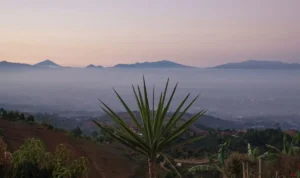 5 Hidden Gems Terbaik di Bandung Hingga Saat Ini, Tempat Ngopi Epik Hingga Pemandangan Alam Menakjubkan!