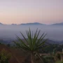 5 Hidden Gems Terbaik di Bandung Hingga Saat Ini, Tempat Ngopi Epik Hingga Pemandangan Alam Menakjubkan!