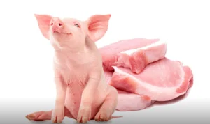 Alasan Kenapa Daging Babi Haram di Konsumsi oleh Umat Muslim
