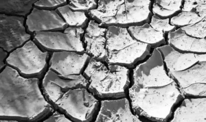 Berapa Lama El Niño Terjadi di Tahun 2023? Begini Kata Organisasi Meteorologi Dunia Berapa Lama El Niño Terjadi di Tahun 2023? Begini Kata Organisasi Meteorologi Dunia
