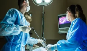 transplantasi ginjal babi ke manusia