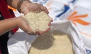 Badan Pangan Nasional Pastikan Stok Beras di Indonesia Aman Badan Pangan Nasional Pastikan Stok Beras di Indonesia Aman