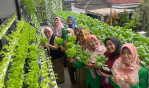 Kelompok kebun Buruan Sae di RW 02 Sukamiskin, Kecamatan Arcamanik sudah dimulai sejak Juni 2020 bersamaan dengan diterapkannya program Kang Pisman.