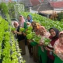 Kelompok kebun Buruan Sae di RW 02 Sukamiskin, Kecamatan Arcamanik sudah dimulai sejak Juni 2020 bersamaan dengan diterapkannya program Kang Pisman.