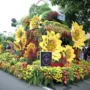 Semarakkan HUT RI, Semarang Kembali Gelar "Semarang Merdeka Flower Festival"