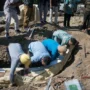Seorang warga di Desa Ngebung, Kecamatan Kalijambe, Sragen, akan mendapatkan kompensasi dari pihak Museum Sangiran atas penemuan fosil gading gajah purba di halaman rumahnya saat sedang menggali fondasi. (ANTARA)