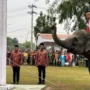 Momen Mengesankan 3 Ekor Gajah Turut Serta dalam Pengibaran Bendera Merah Putih di Riau
