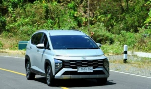 The Difference Between Stargazer and Stargazer X at a Glance The Difference Between Stargazer and Stargazer X at a Glance