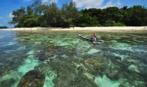 5 Hidden Gems Terbaik di Jakarta Hingga Sekarang, Menjelajahi Rahasia Kota yang Tersembunyi!