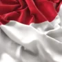 Contoh Puisi 17 Agustus Tema Kemerdekaan Indonesia