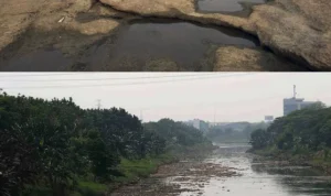 Air Sungai di BKT Jakarta Surut Selama Musim Kemarau Air Sungai di BKT Jakarta Mengalami Penurunan Drastis Selama Musim Kemarau