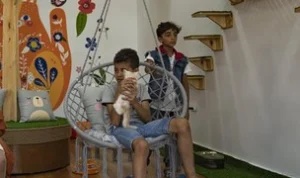 Kafe Kucing Unik di Jalur Gaza yang Bikin Gemas