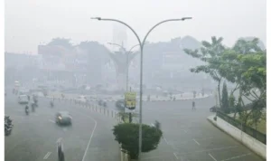 Kabut Asap Mengancam Kesehatan Anak-anak Pontianak: Dampak Karhutla Mulai Terasa Kabut asap mulai menyelimuti Kota Pontianak dan daerah sekitarnya akibat dari kebakaran hutan dan lahan (karhutla) yang melanda.