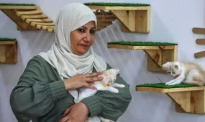 Tren Kafe Kucing Kembali Meluas Termasuk di Wilayah Gaza Kafe kucing di gaza