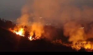 Dua Lahan di Kabupaten Sumedang Dilahap si Jago Merah, Begini Tanggapan BPBD!