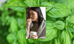 Cara Ampuh untuk Menyembuhkan Batuk