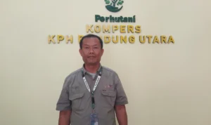 Isu Jual Beli Lahan Hutan Bandung Utara, Begini Tanggapan Perum Perhutani!