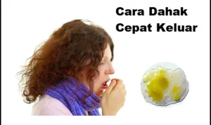 Cara Dahak Cepat Keluar Yang Perlu Kamu Ketahui! Cara Dahak Cepat Keluar Yang Perlu Kamu Ketahui!