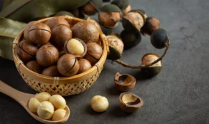 Kacang Macadamia Lagi Viral di TikTok, Ternyata Memiliki Manfaat Luar Biasa Kacang Macadamia Lagi Viral di TikTok, Ternyata Memiliki Manfaat Luar Biasa