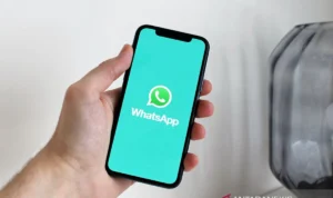 Ini Loh Fitur Panggilan Grup WhatsApp yang Bisa Dijadwalkan pexels-anton-4132538