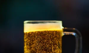 Hari Bir Internasional, Ini Sejarahnya!