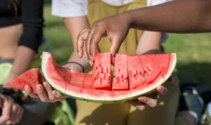 National Watermelon Day in the United States: A Juicy Celebration of Summer Delight National Watermelon Day in the United States: A Juicy Celebration of Summer Delight