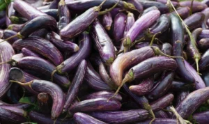 Manfaat Terong Ungu, Superfood untuk Kesehatan dan Kecantikan