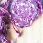 Manfaat Kol Ungu Dapat Menjaga Berat Badan Hingga Mencegah