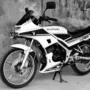 Harga suzuki RGR 150