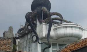 Viral Rumah Gurita di Bandung Siap Dijual, Harganya Fantastis! Viral Rumah Gurita di Bandung Siap Dijual, Harganya Fantastis!