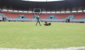 Batal Jadi Venue Piala Dunia U-17, Pemkab Bogor Pastikan Rumput Stadion Pakansari Tetap Diganti!
