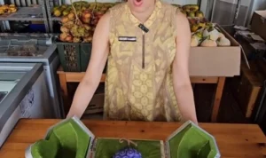 Video Viral Review Buah Gomu Gomu di Anime One Piece, Begini Rasanya!