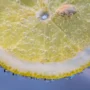 Ketahui Manfaat Lemon Untuk Kesehatan & Kecantikan Wajah!