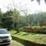 Pengumuman! Mulai 30 Agustus 2023, Rute Safari Journey Taman Safari Bogor Dialihkan Sementara