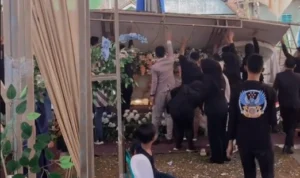Viral Dekorasi Pelaminan Roboh Menimpa Pengantin, Begini Kronologinya Viral Dekorasi Pelaminan Roboh Menimpa Pengantin, Begini Kronologinya