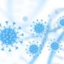 Perbedaan virus covid omicron dan eris