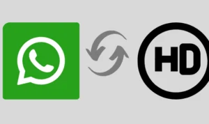 Whatsapp resmi luncurkan fitur kualitas foto HD