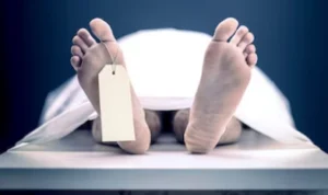 Wanita Berusia 32 Tahun Ditemukan Meninggal di Kontrakan Cileungsi Bogor Seorang wanita ditemukan meninggal di kontrakannya sendiri di daerah cileungsi, bogor